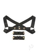 Ms Rave Chest Harness Lxl Blk/gld